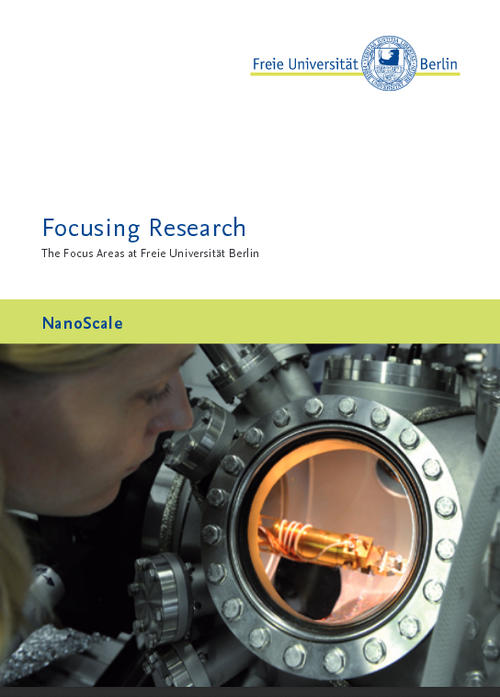 Focus Area NanoScale - Brochure 2012