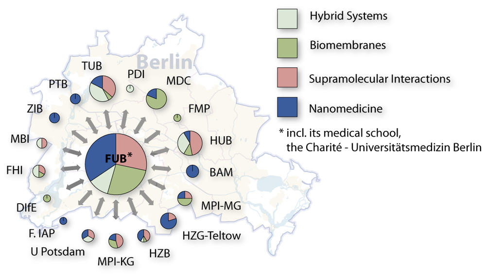 Regional Cooperation Partners of the FU Focus Area NanoScale, 2011