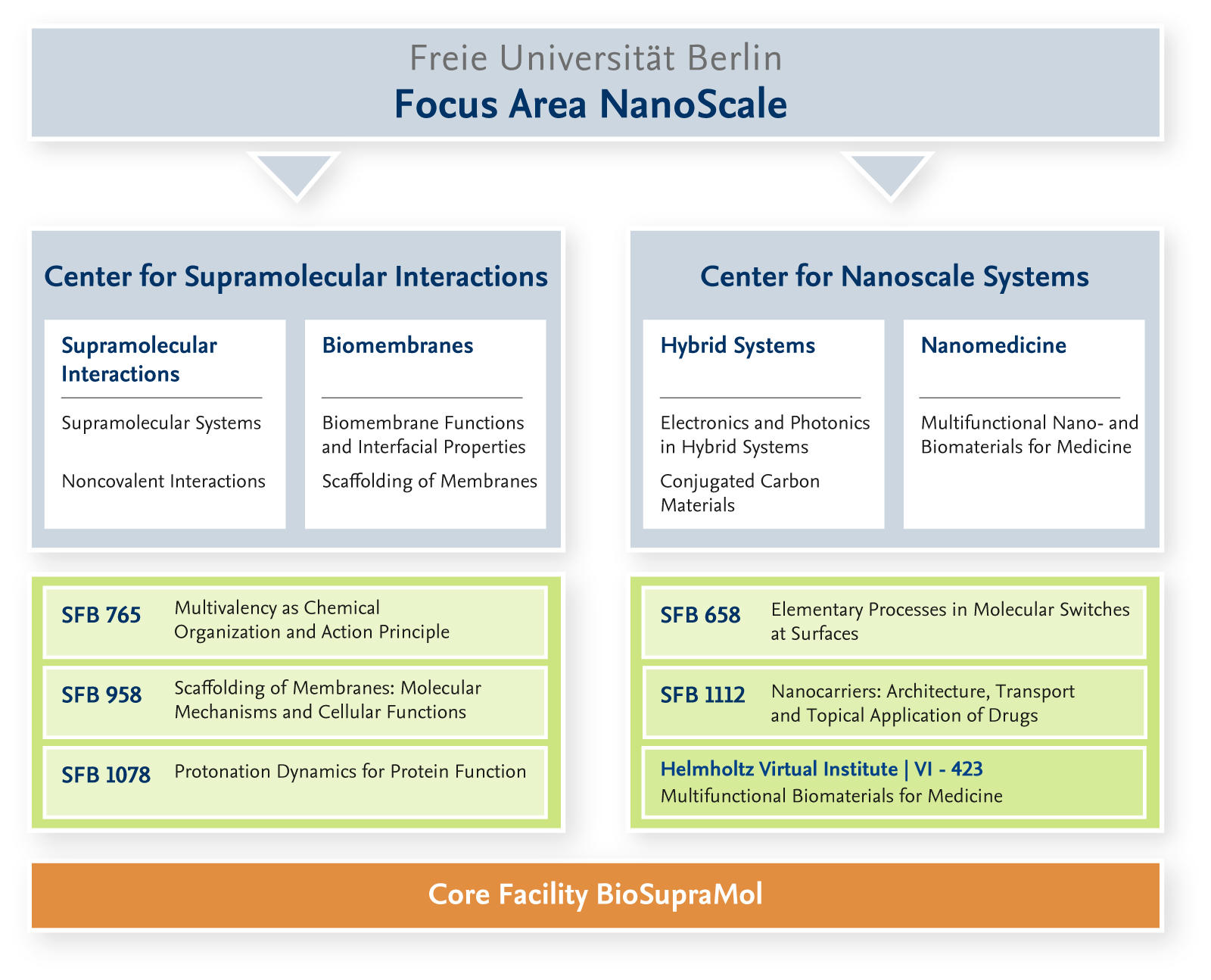 Structure of the Focus Area NanoScale